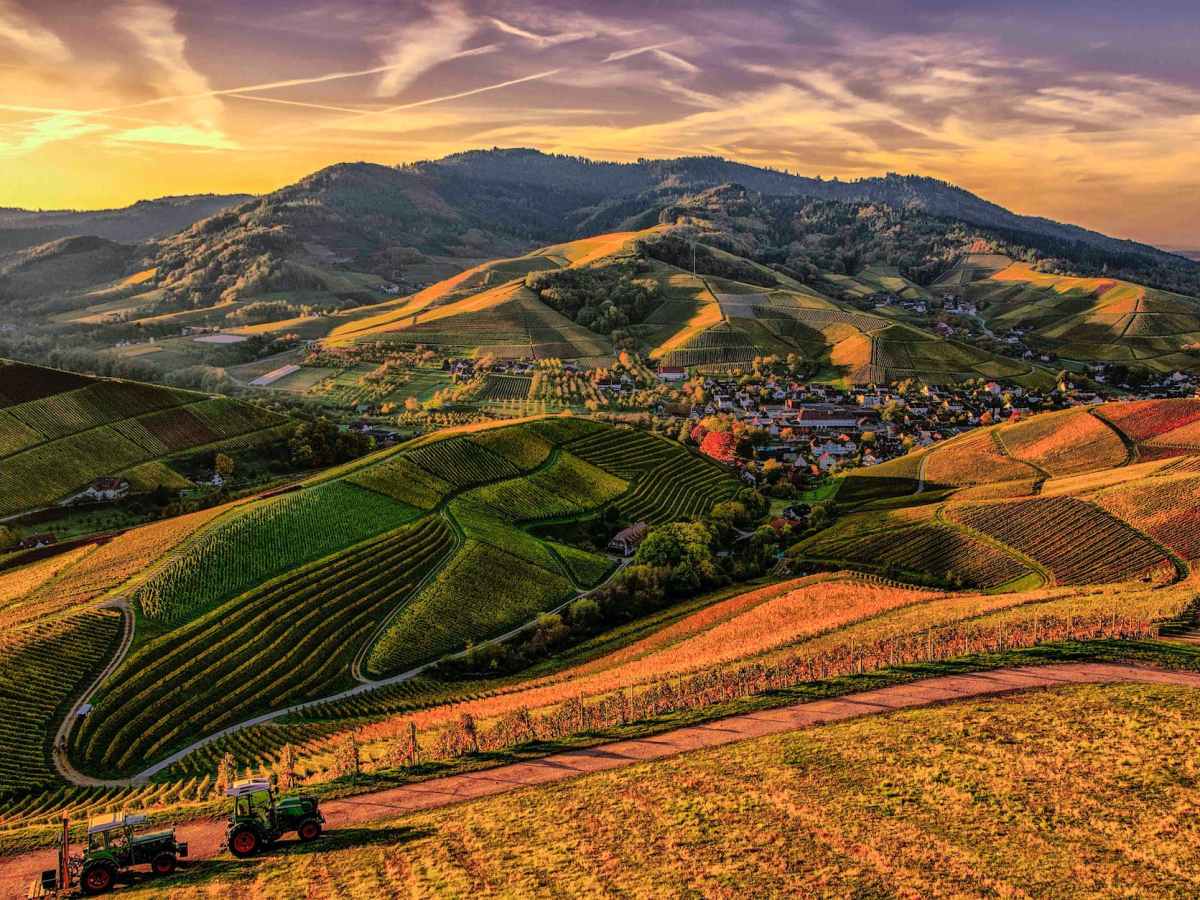 Top International Spots for&nbsp;February