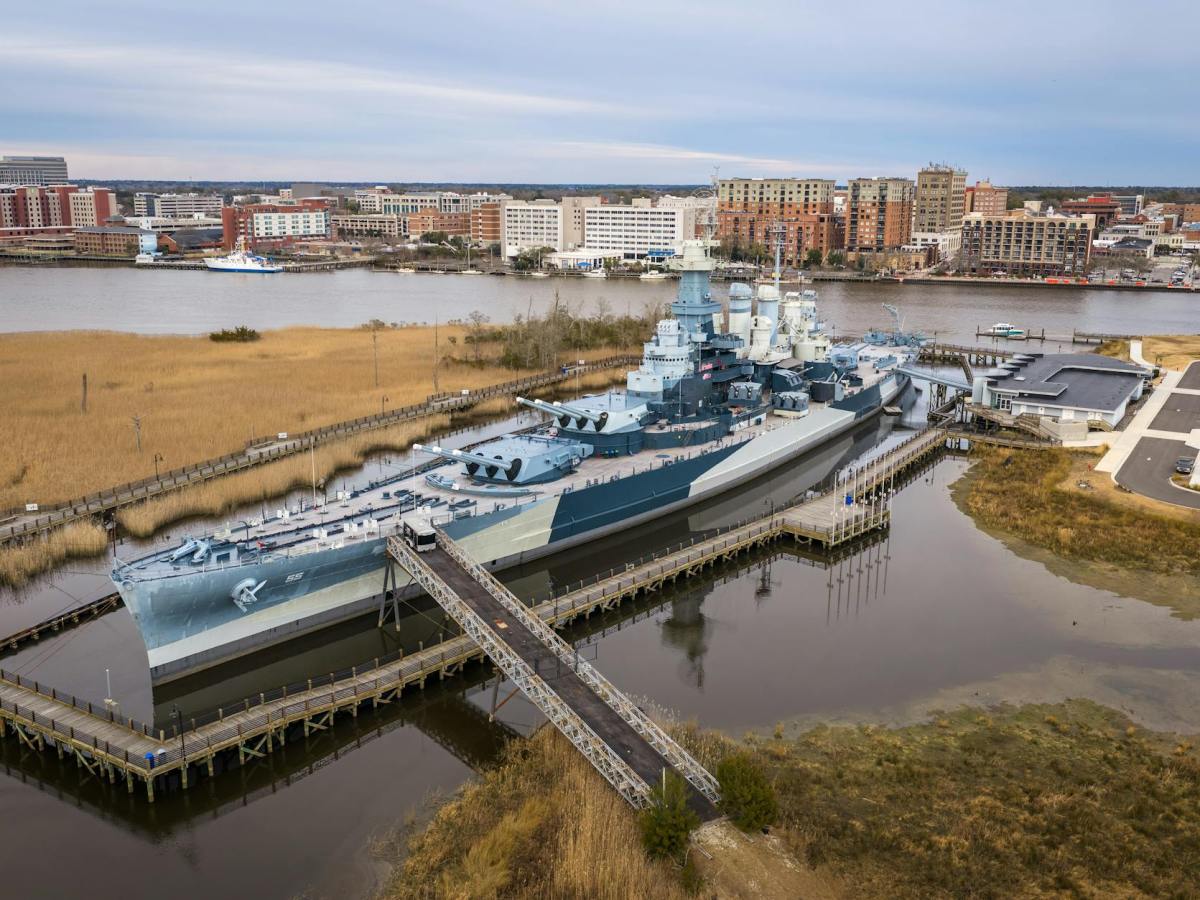 Wild About Wilmington